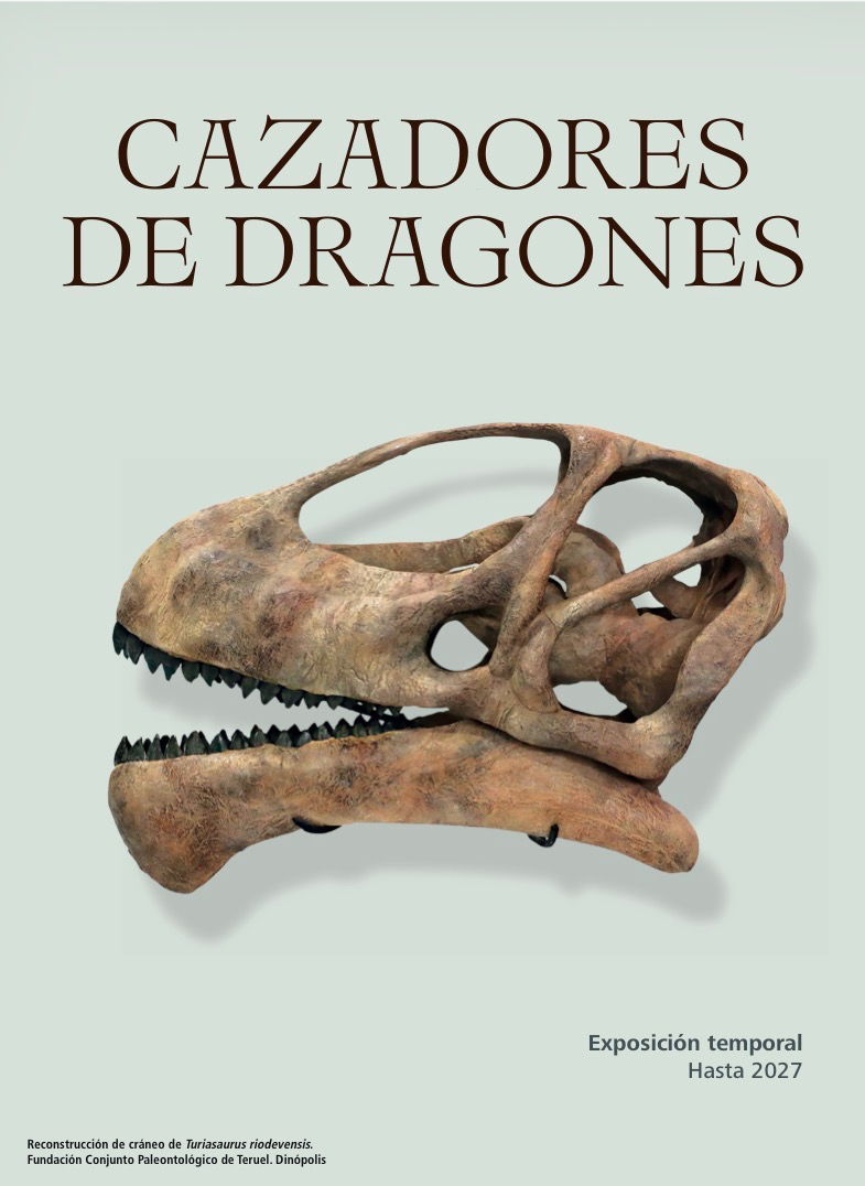 Cazadores de dragones