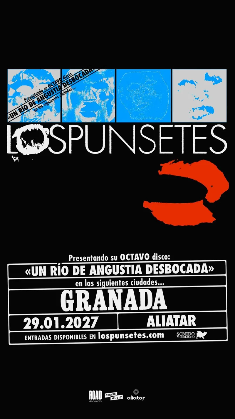 Los Punsetes
